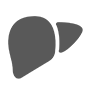 Liver & Bile