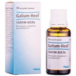 Galium Heel Oral Drops 30 ml Galium Heel Oral Drops 30 ml